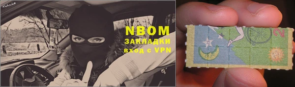 шишки Вяземский