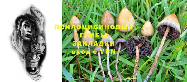 шишки Вяземский