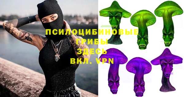 хмурый Вязьма