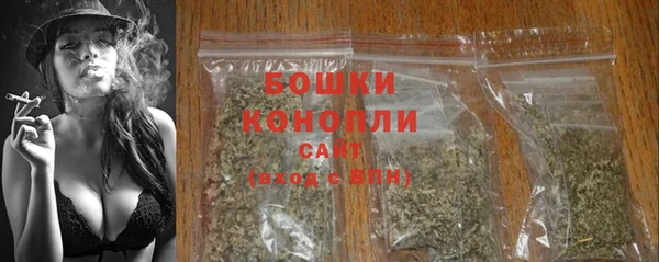 шишки Вяземский