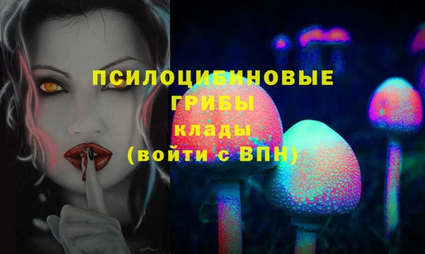 шишки Вяземский