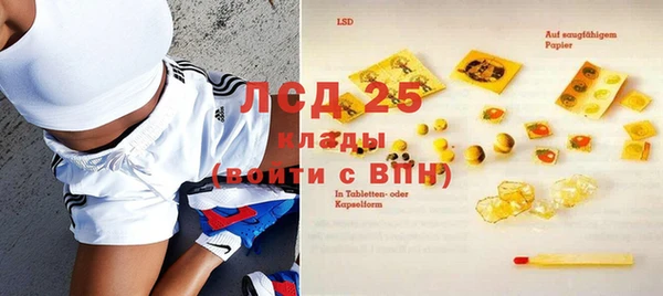 шишки Вяземский