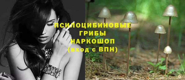 хмурый Вязьма