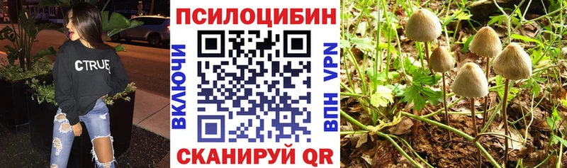 Галлюциногенные грибы MAGIC MUSHROOMS Оханск